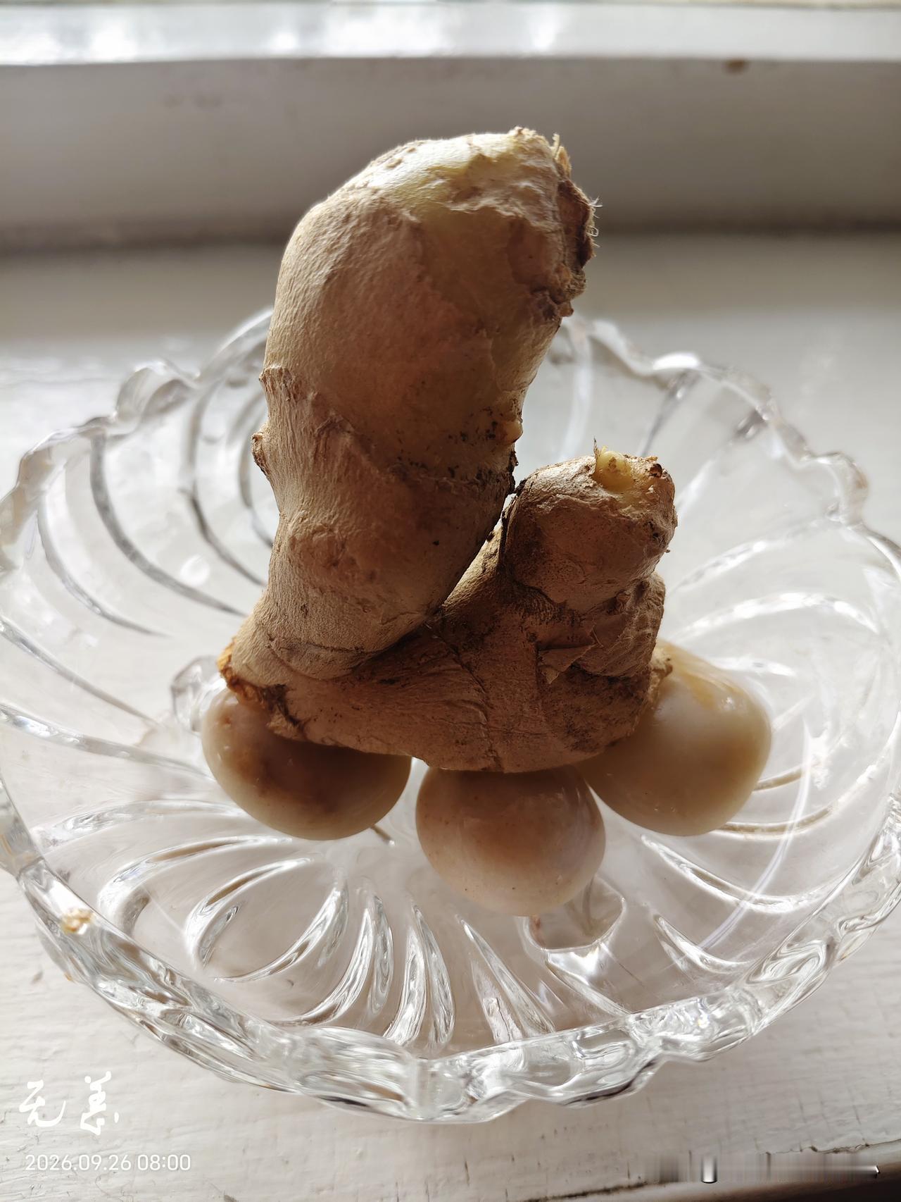 我一直有一个遗憾，然而却没有办法弥补了。
父亲去世前几天曾经让我在网上给他买几块