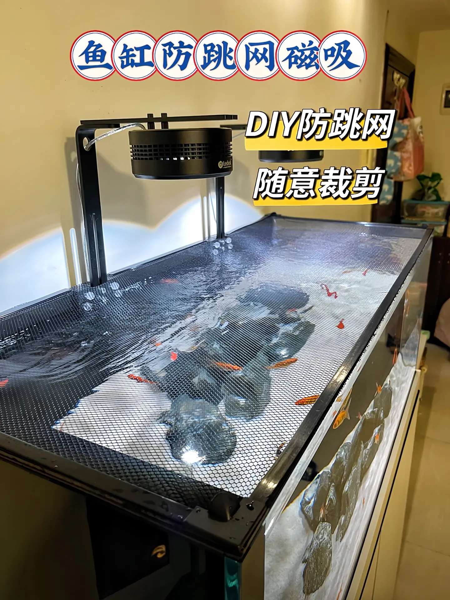 还在担心爱鱼跳缸“离家出走”？这款磁吸防跳网，超强吸力紧密贴合鱼缸，细...