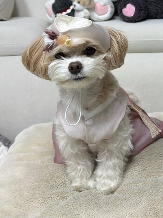 朴灿烈CHANYEOL泡泡"Happy Lunar New Year! Wish