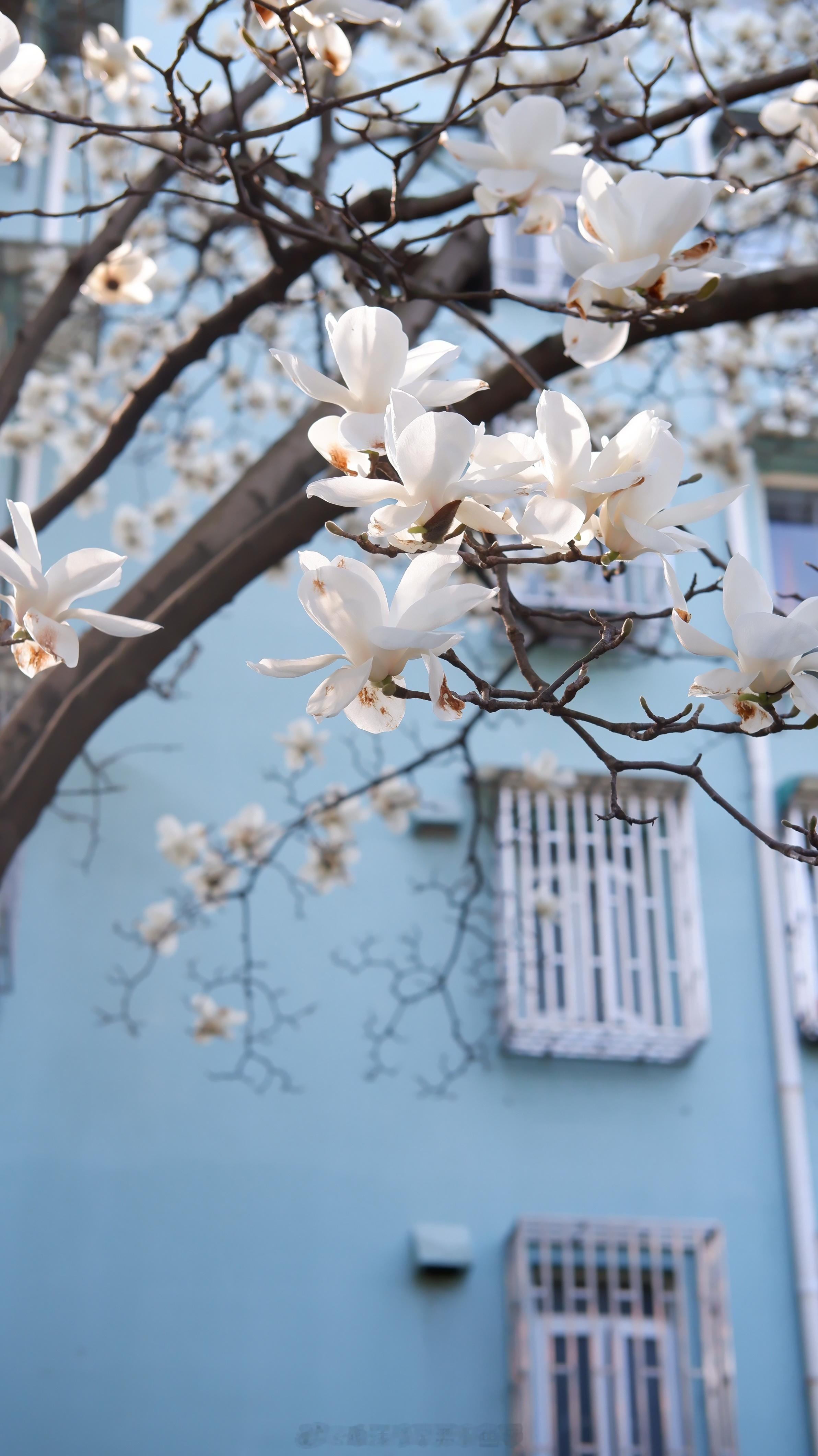 「公园二十分钟」✅ ​​​