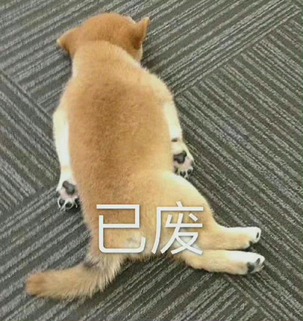 上半年这年报也太多了，工商年报，税务年报，统计年报，决算年报，年度审计 