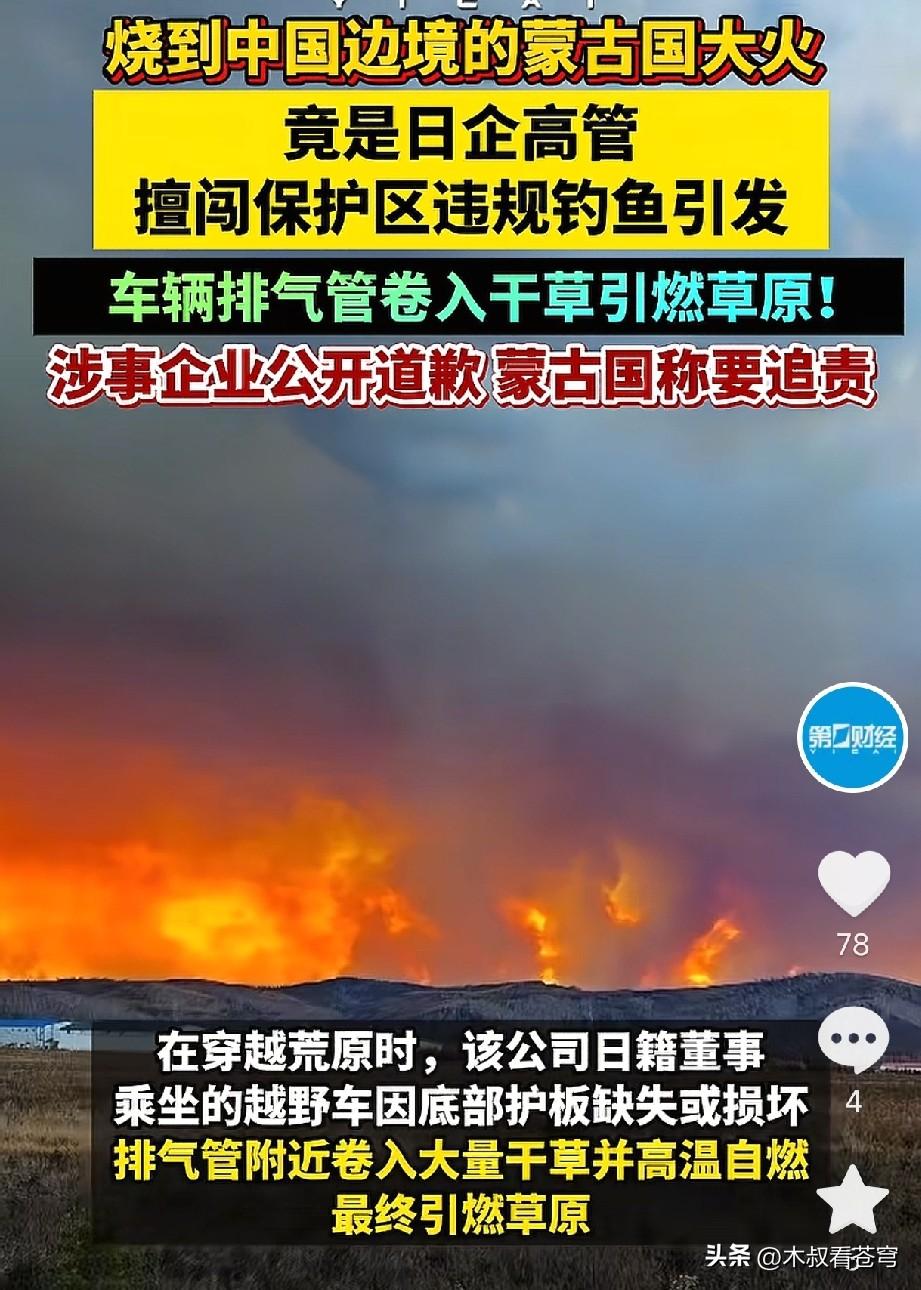 没想到！逼近中国边境的蒙古国大火，凶手竟然是日企高管，原因是开一辆破旧的汽车去违