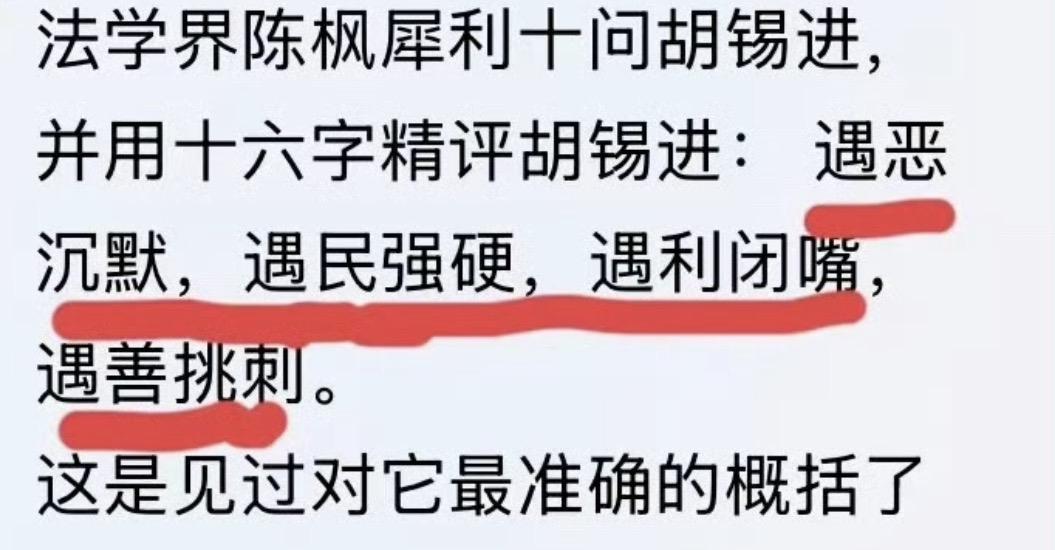 不愧是法学界的，这是我见过对胡锡进的最精准的评价了！陈枫老师确实够了解胡锡进！