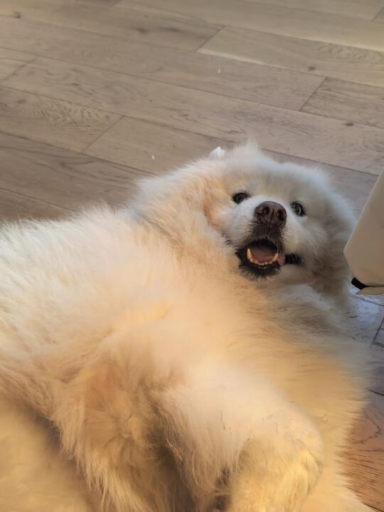 没事，我就叫叫你