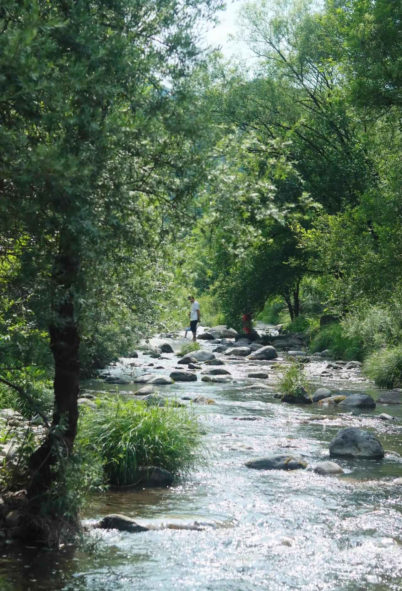 天津出发，后河徒步抓住夏天溯溪了💦。这条环线景色层次直接拉满！🌲穿原始密林：