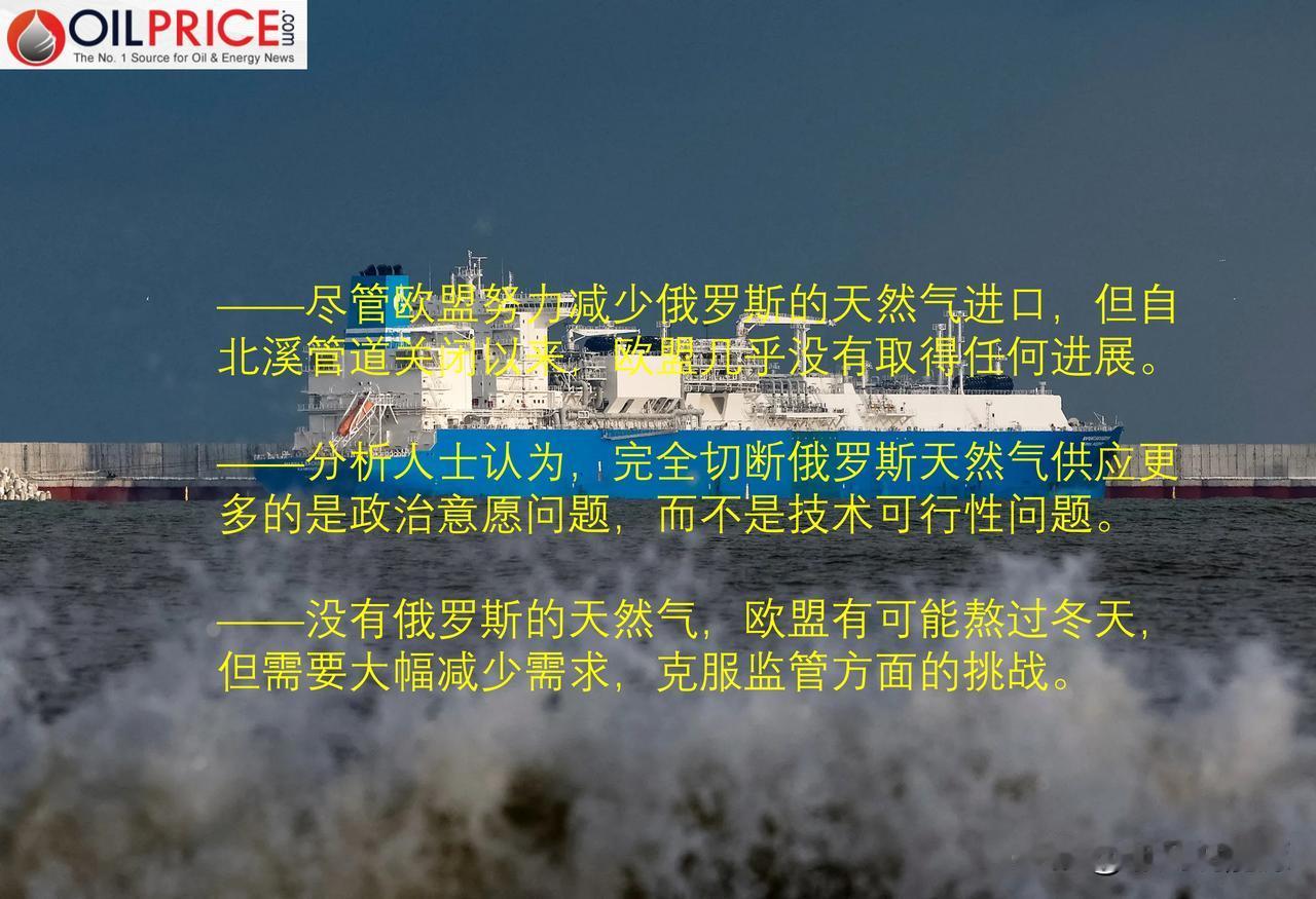 没有俄罗斯天然气，欧洲能熬过寒冬吗? 看专家的评论


过去两年，为了抗议俄罗斯