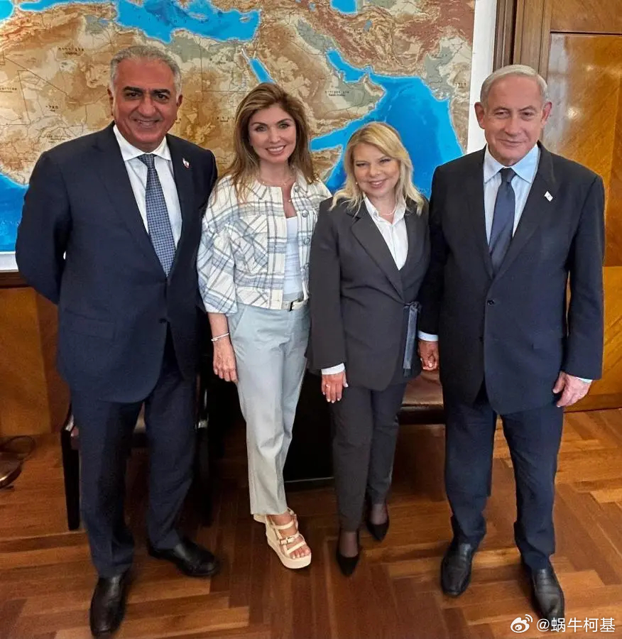 长鼻猴汪汪汪伊朗宣布暂时关闭领空伊以冲突最新进展汇总以色列空袭伊朗