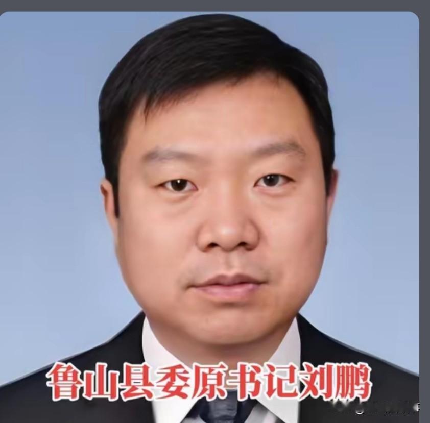 老家的事儿:这位正值年富力强为国家做贡献的大好年龄里，政治生命由此戛然而止，让人