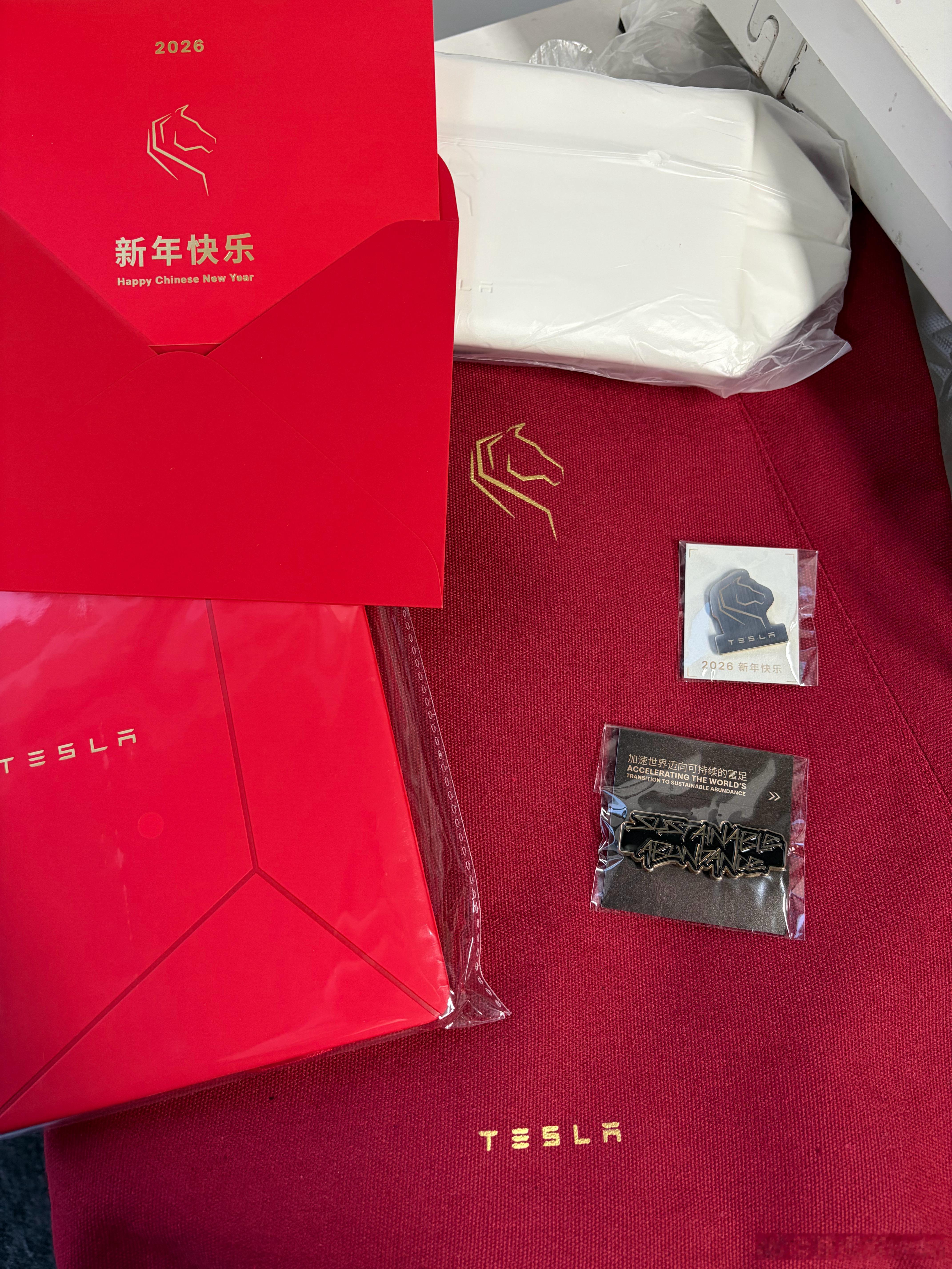 收到特斯拉的新年礼物了Pin也变成：加速世界向可持续富足了特斯拉