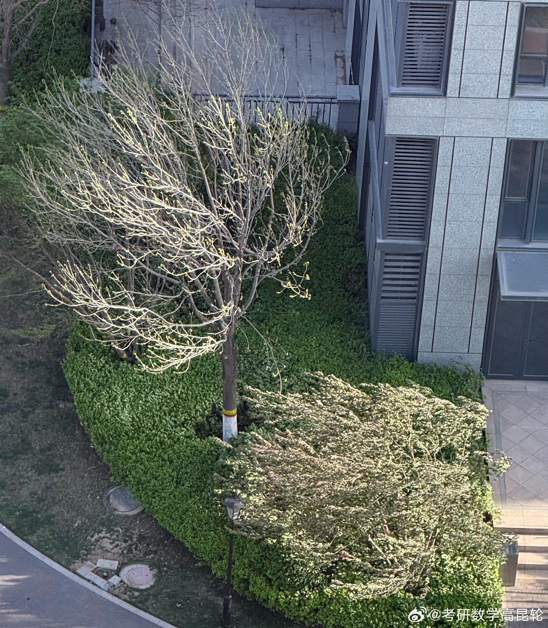 今天的风有点大哦！大家路上注意安全。 