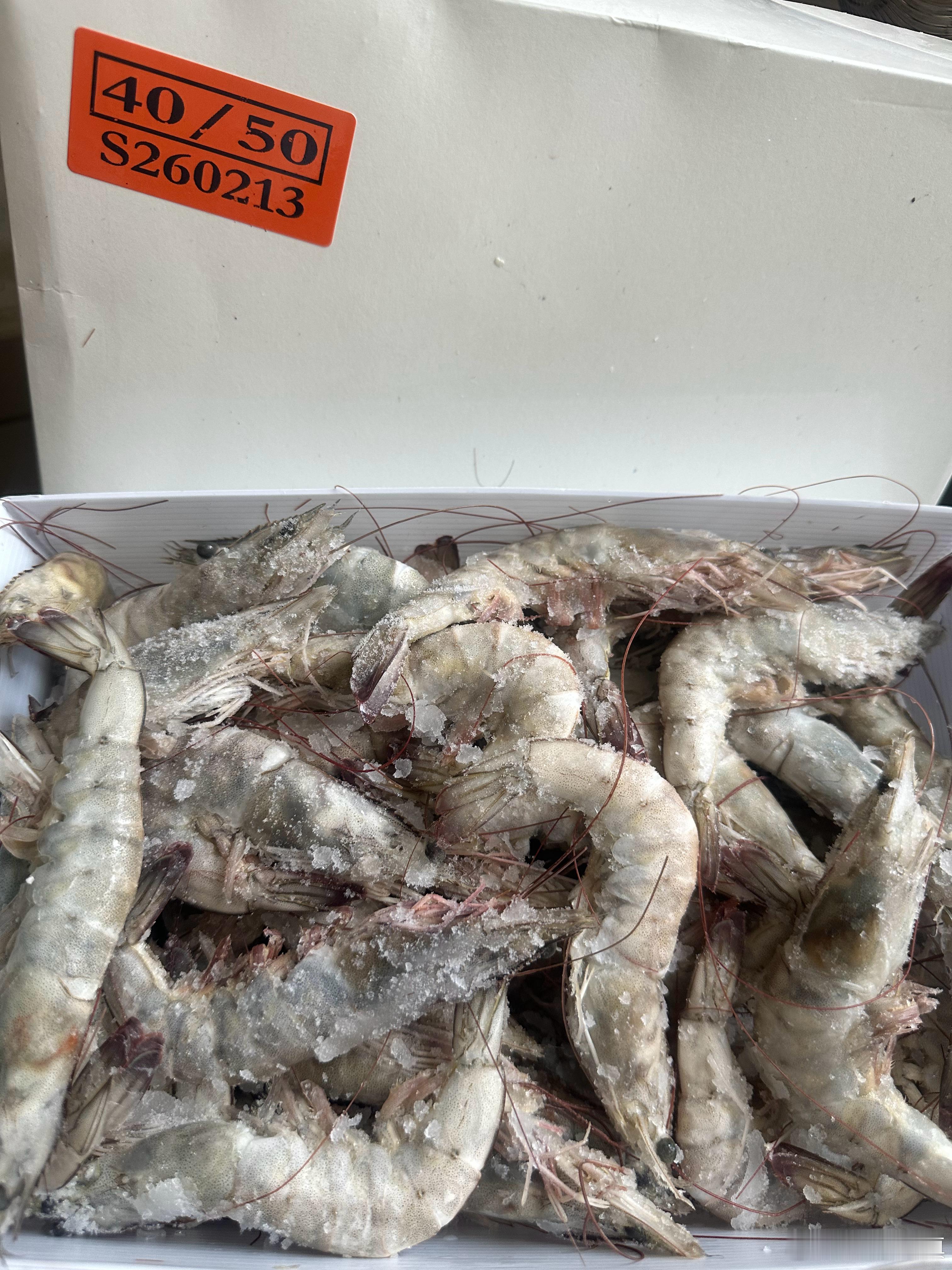 终于等来4050海洋大虾了，一盒仅79.9💰白灼也好吃，自带鲜甜，吃过一次，无