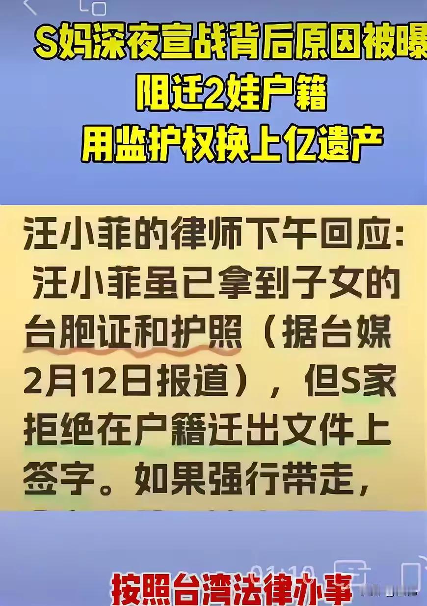 大S这样做，小菲真的是太为难了，怎么做都是不对的呢？有什么办法呢？小菲自己估计都