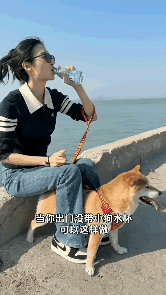 这样给小狗喝水是不是挺恶心的啊！
