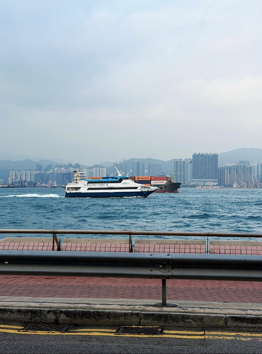 生活是一场未知的流浪，每一步都藏着惊喜与无常，我们在见招拆招的历练中，慢慢长出了