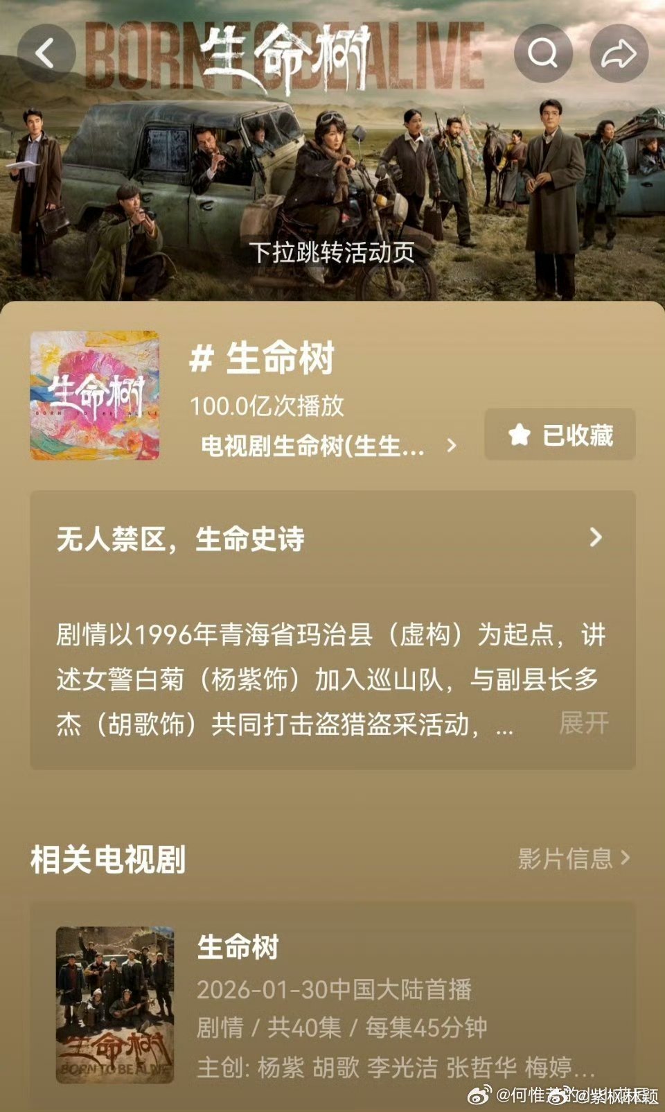 杨紫生命树播放量破百亿 恭喜生命树🫘播放量破100亿🎉🎉🎉生命树值得被更