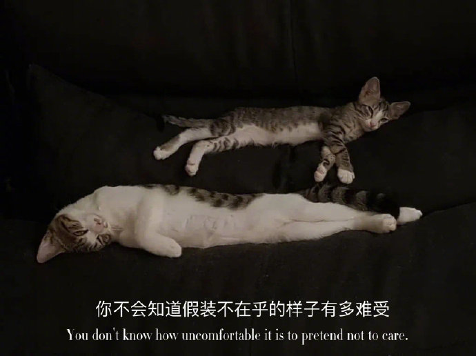 开始让人舒服的，一定是言语。后来，一定是人品，生活不全是利益，更多的是彼此成就，
