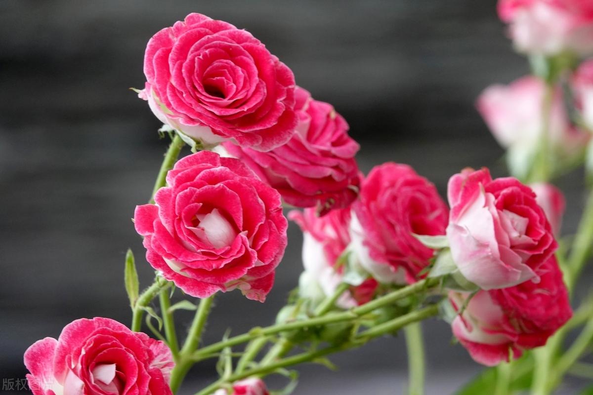 真正的内心强大，就是活在自己的世界里，而不是活在别人的眼中和嘴上。人生在世，无非