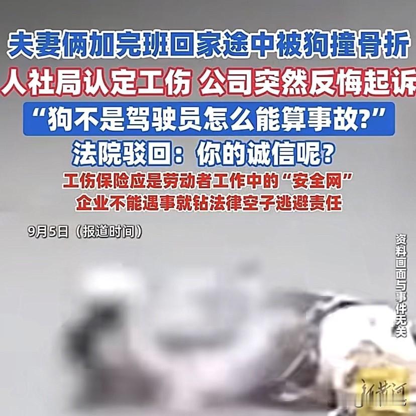 太奇葩！广东广州，一对夫妻加班到晚上9点多，2人骑电动回家，被半路窜出的一条流浪