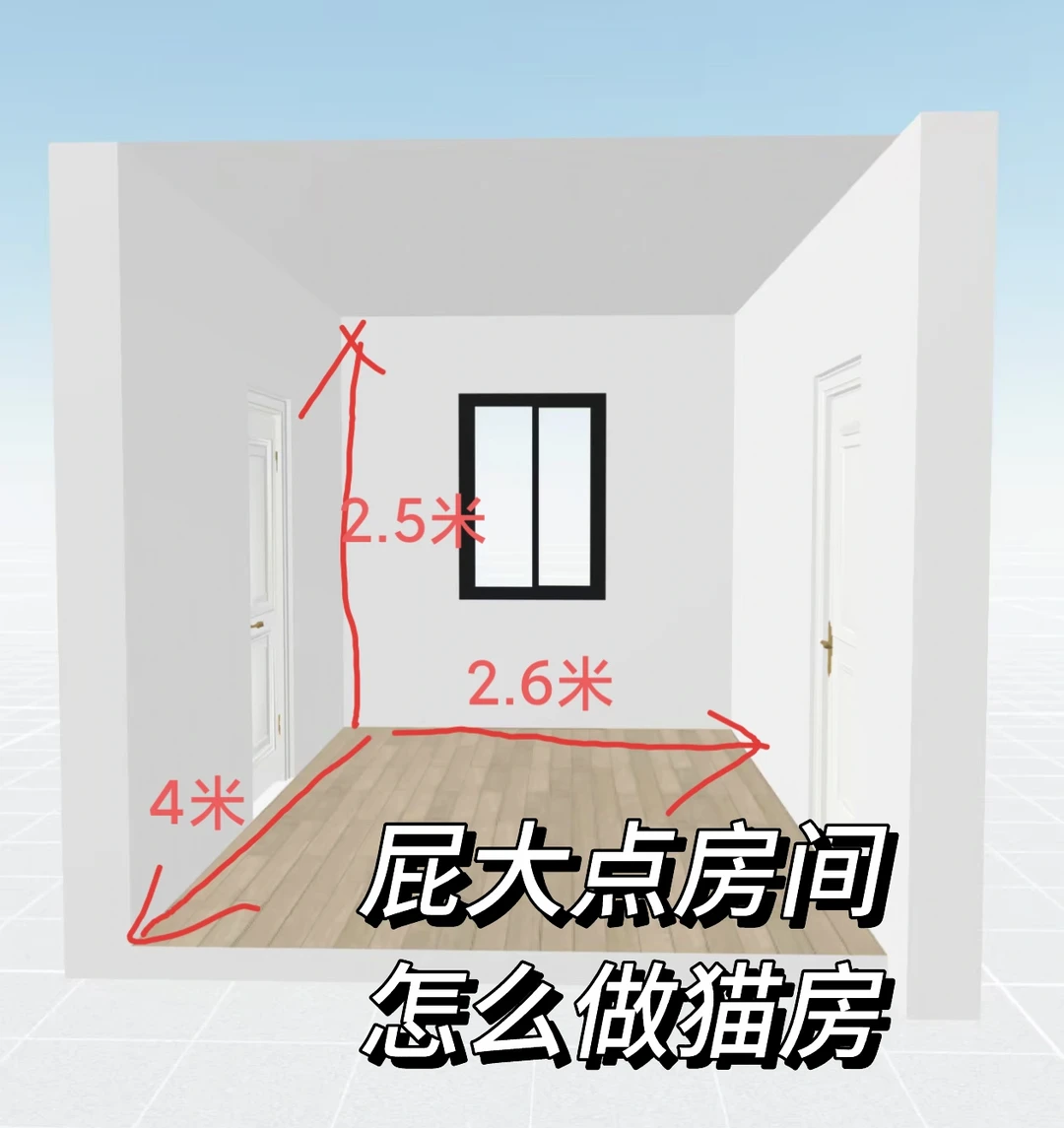 可以给我看看你们的猫房吗