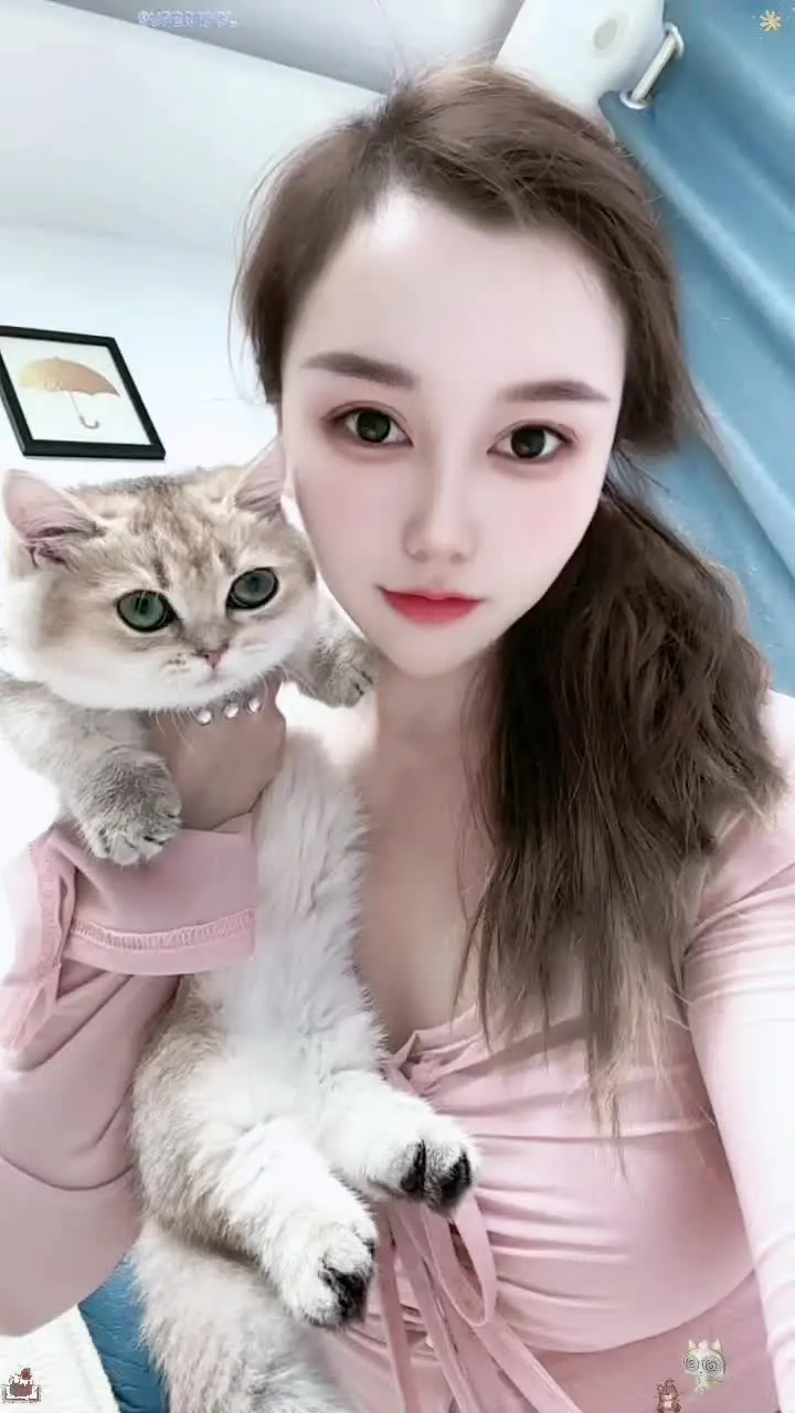 喵～我是一只小猫🐈