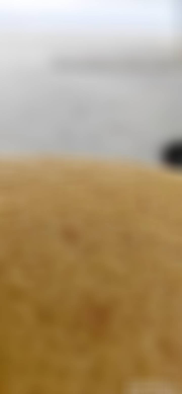 泰国青柚变黄柚，被我爸爸包了袋子，变成黄柚子，青柚的手感很特别，柚子皮表面有一层