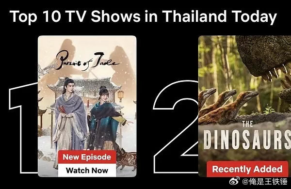 不知道，只看见许多1放在一起很曼妙而且逐玉已进入日本网飞前10，是中国首次入榜的