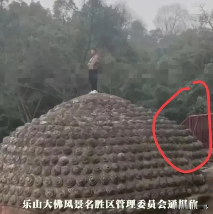 乐山大佛又遭尿袭！景区，你们到底咋管的？

哎，乐山大佛景区又出事了！这次更离谱