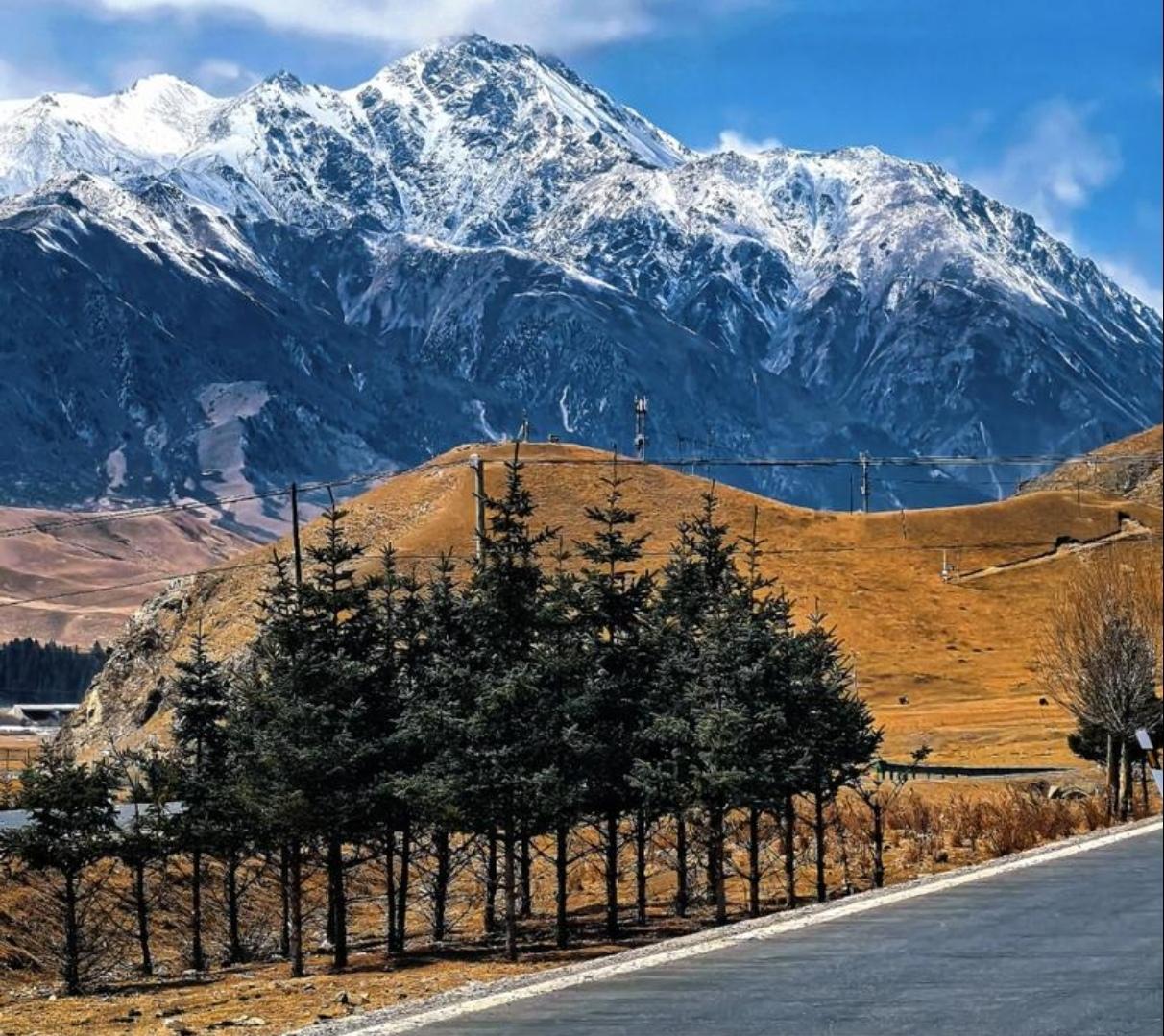 终年不化的雪顶连绵起伏，清冷冰川静卧山峦，将天光揉碎散落。赤红丹霞与苍翠林海彼此