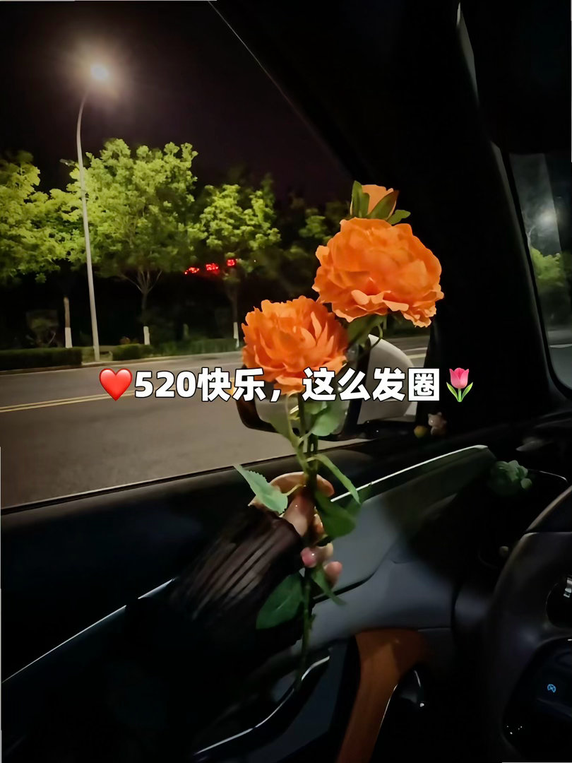 ❀1. 🌸ʜᴀ͟ᴘ͟ᴘ͟ʏ̆̈ 🫶𝟱𝟮𝟬 .ᐟ.ᐟ“ ❥ ₀₅.₂₀♥