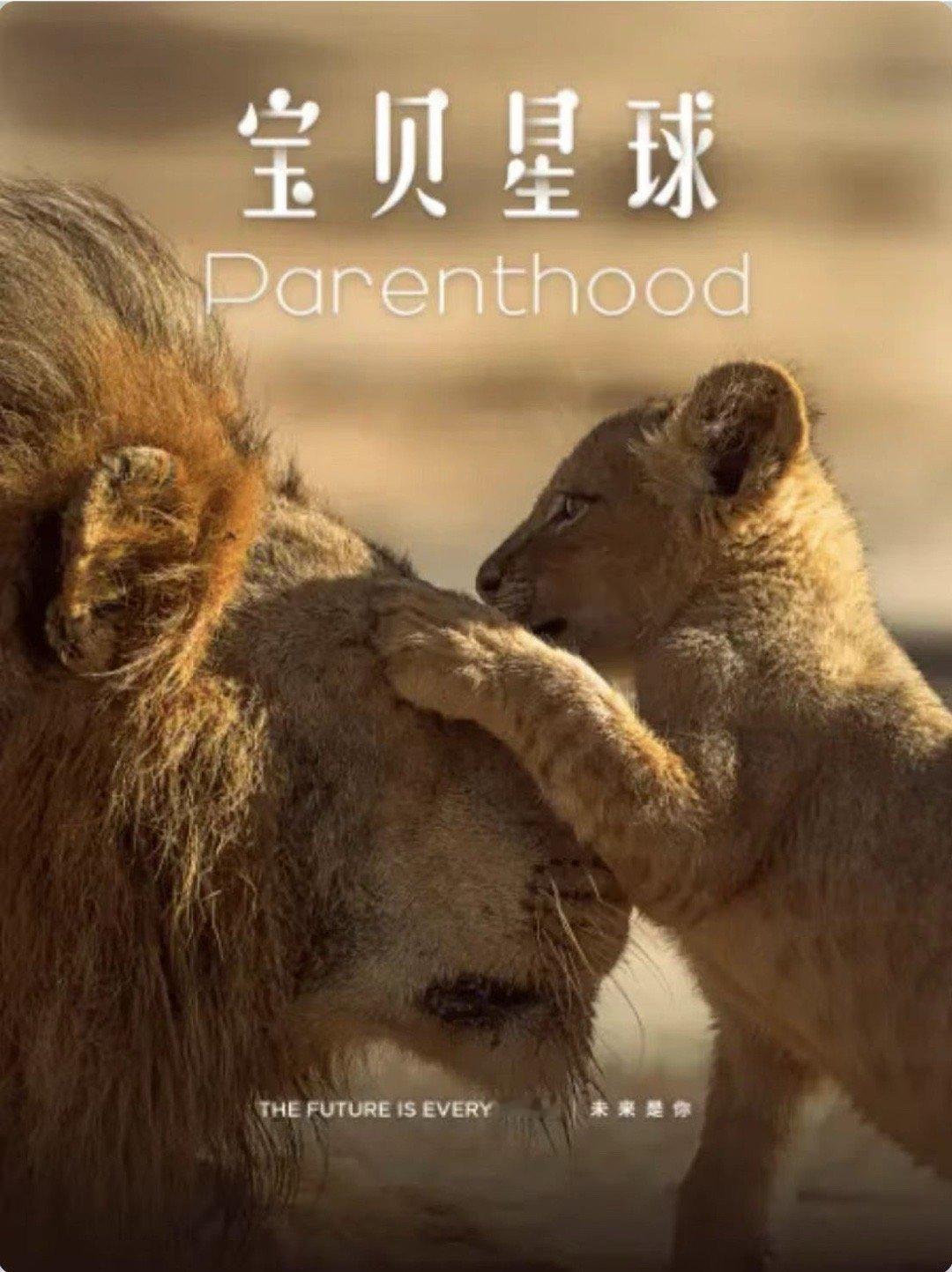 全国百所高校在五一推荐纪录片现在高校学生可以通过观看纪录片来抵扣学分，这真是个好