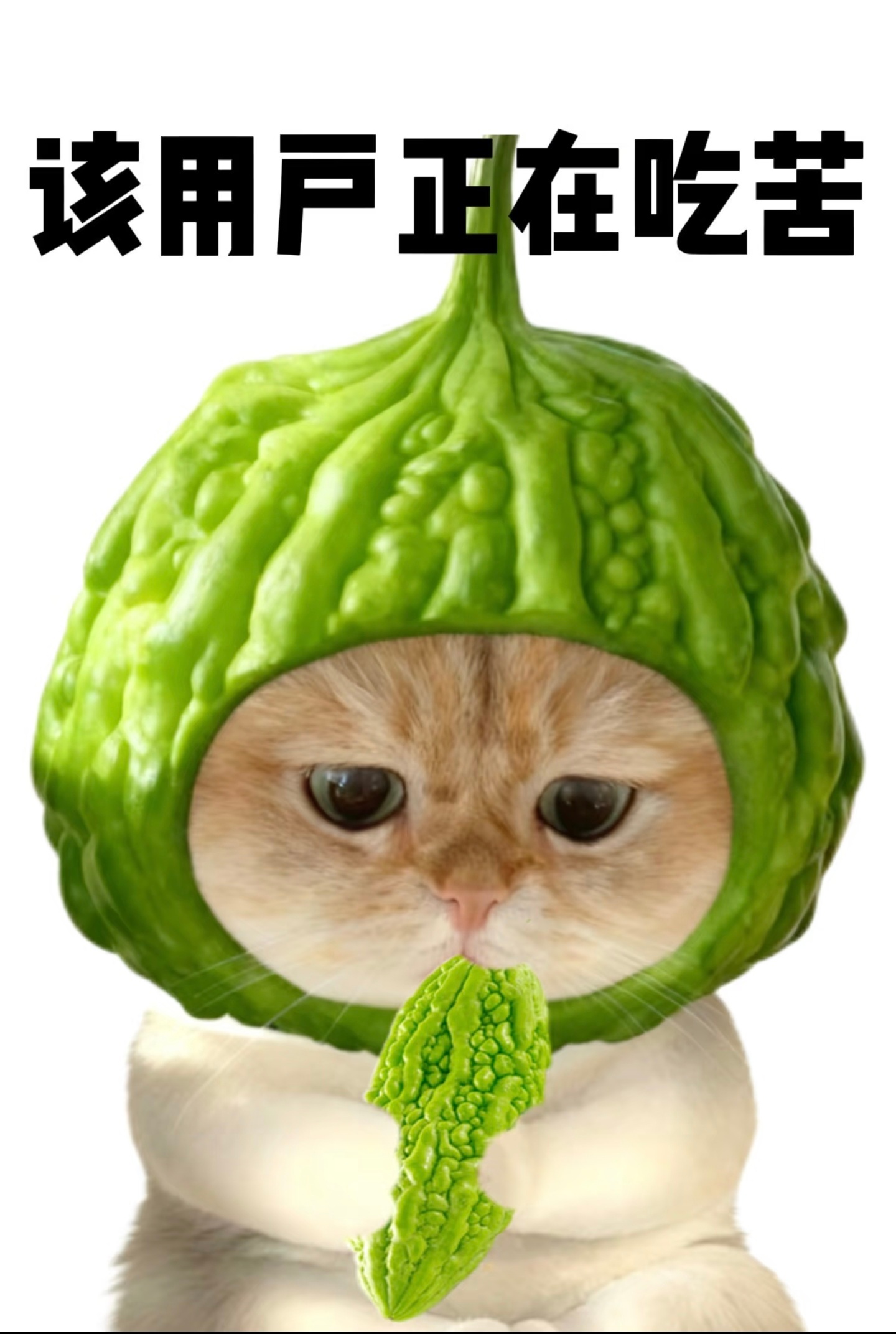 微信状态的好用我后知后觉出差的时候发个状态，方便大家都能知道，我没回信息可能是因