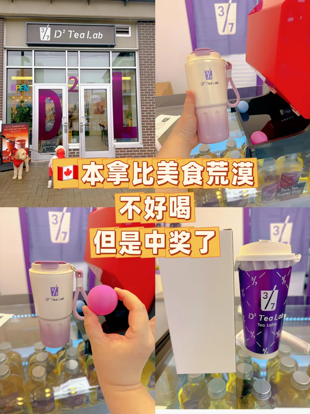 🇨🇦本拿比奶茶不好喝，但是中奖的杯子很好