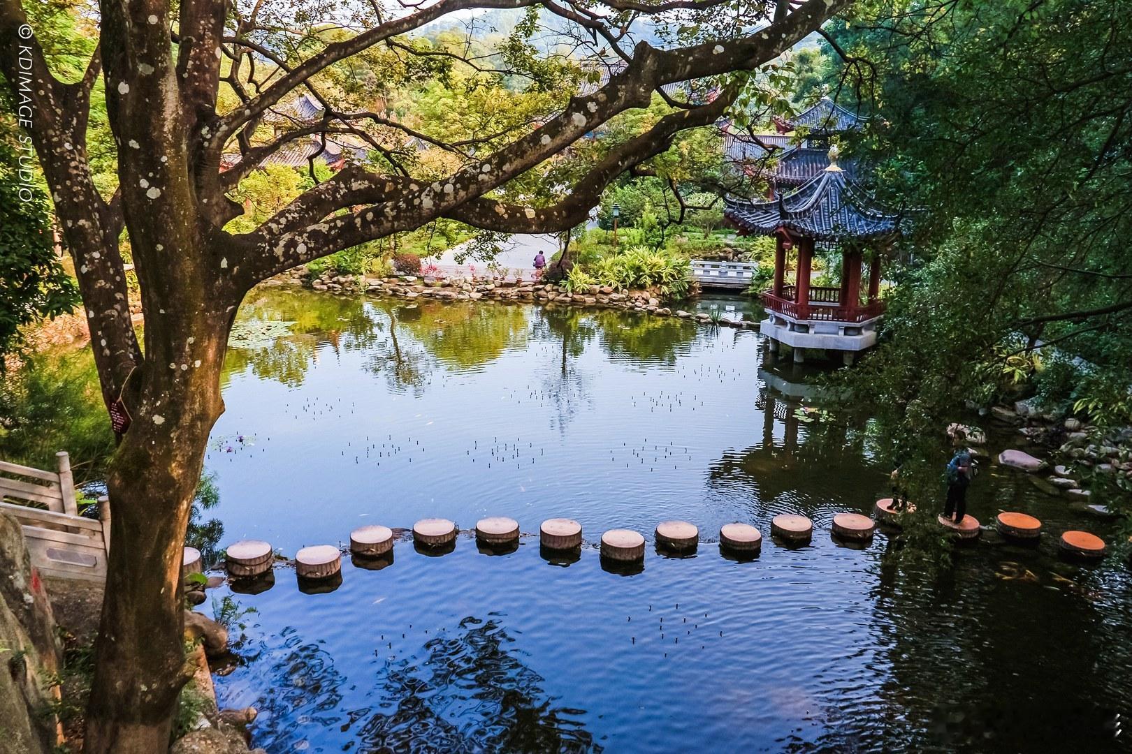 五一想逃离海边的拥挤，去山里吸氧是更明智的选择。作为岭南第一山，罗浮山不仅有自然