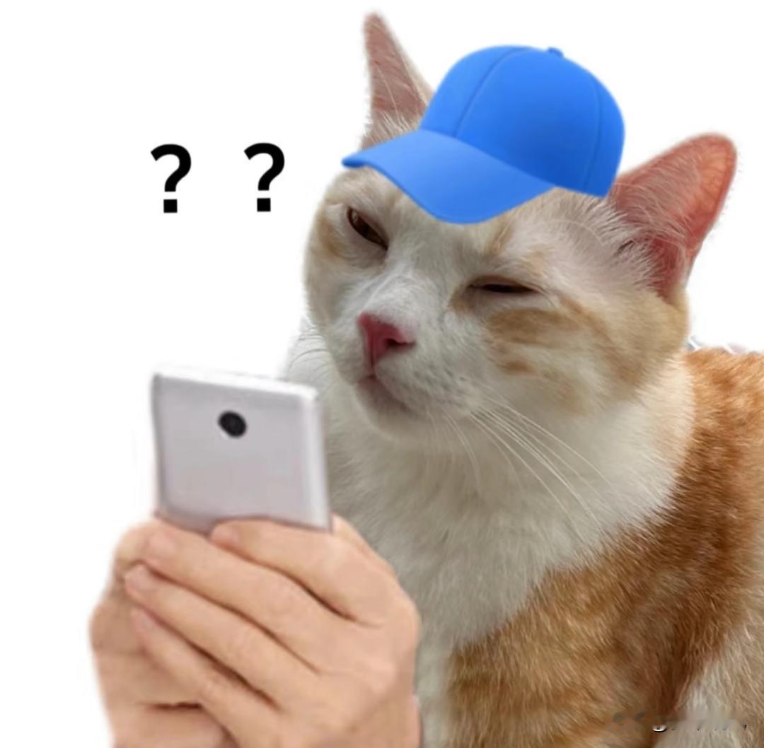 闭日适合做啥活动呢？