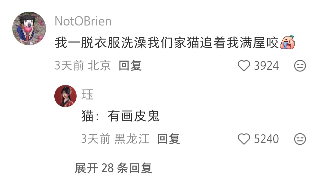 代入咪的视角真的很恐怖了 ​​​