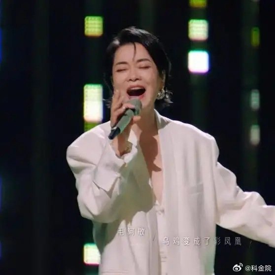 《毛阿敏时隔多年再唱《篱笆墙的影子》，勾起多少人的回忆，太催泪丨声生不息》播放量