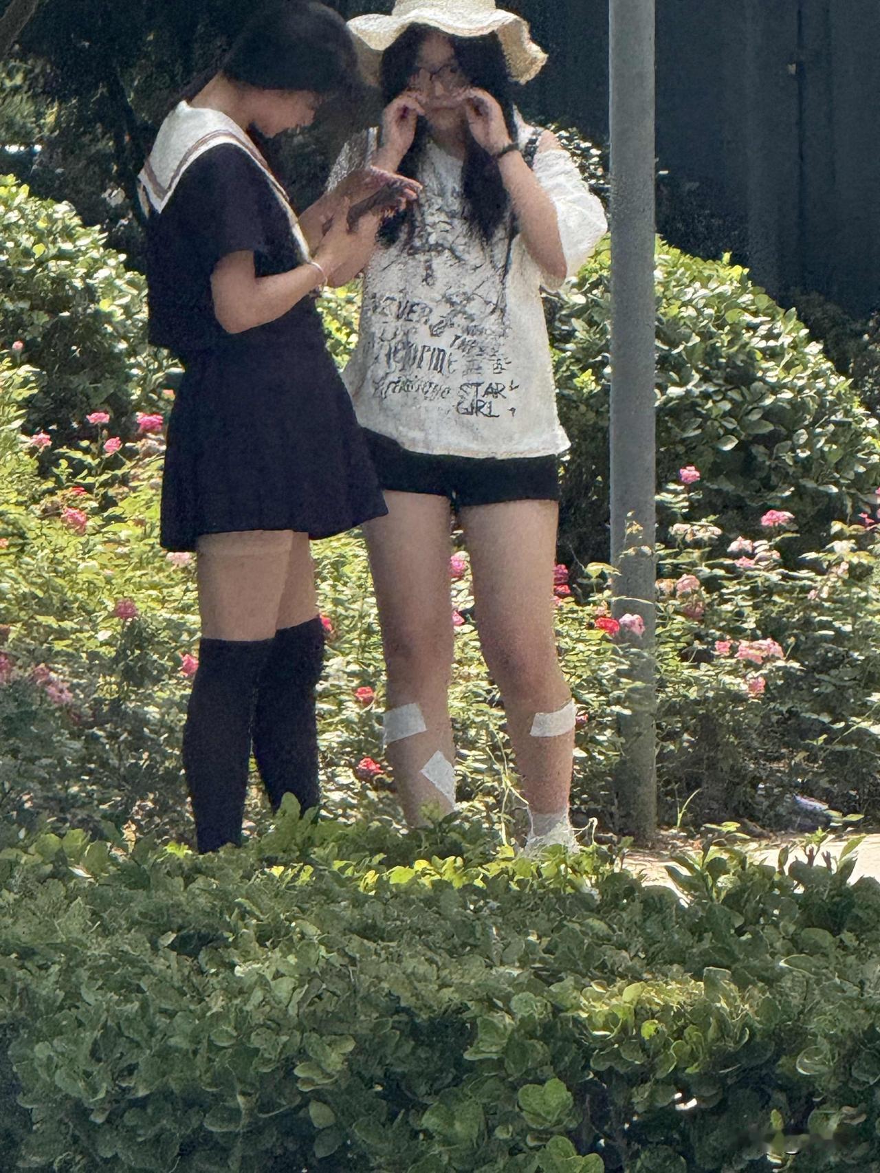 北京街景胡同里巷随拍胡同里小花园拍到的好姐妹。身上的青春气息闪闪发光，心里的友谊