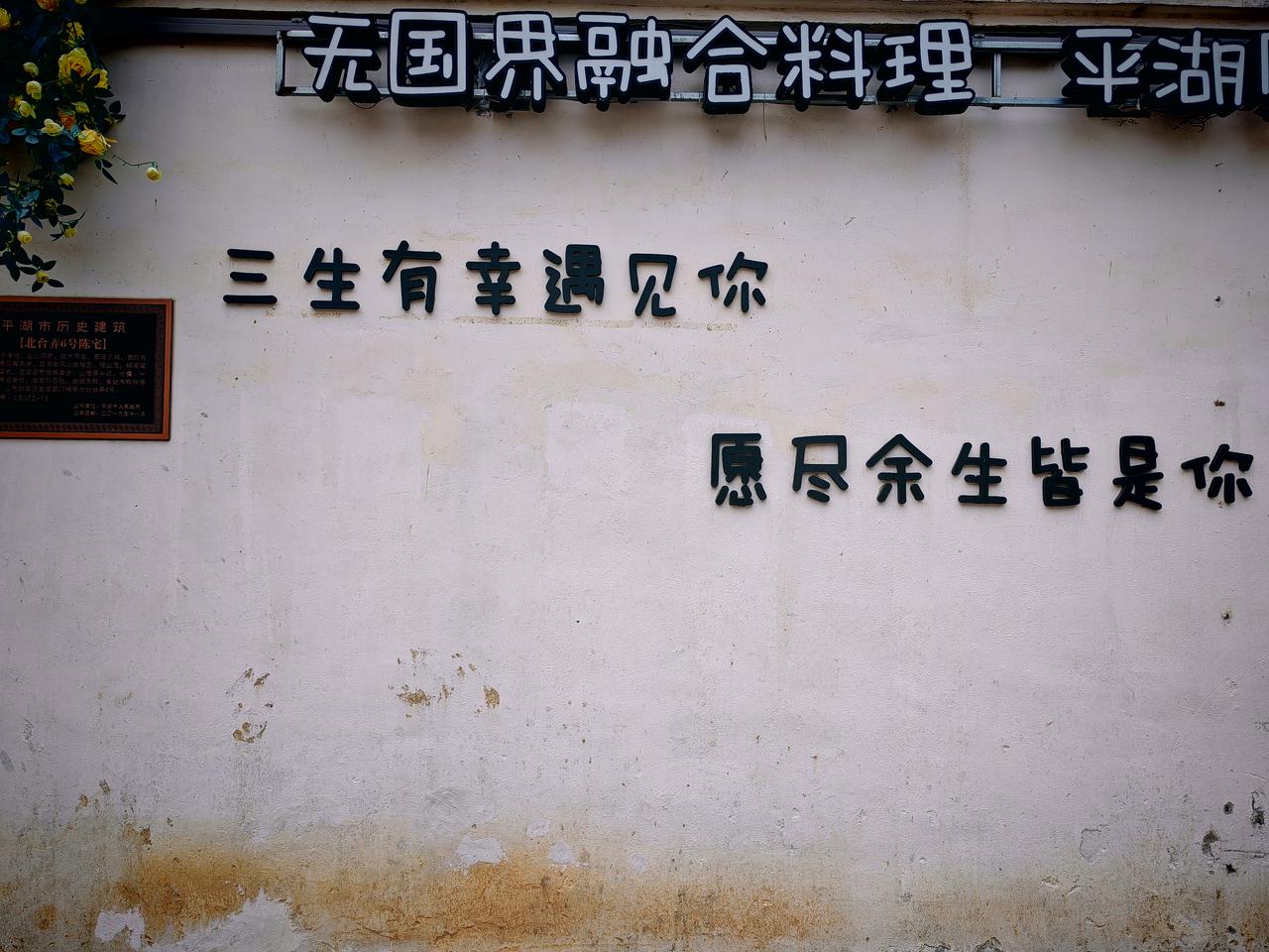 春日生活打卡季