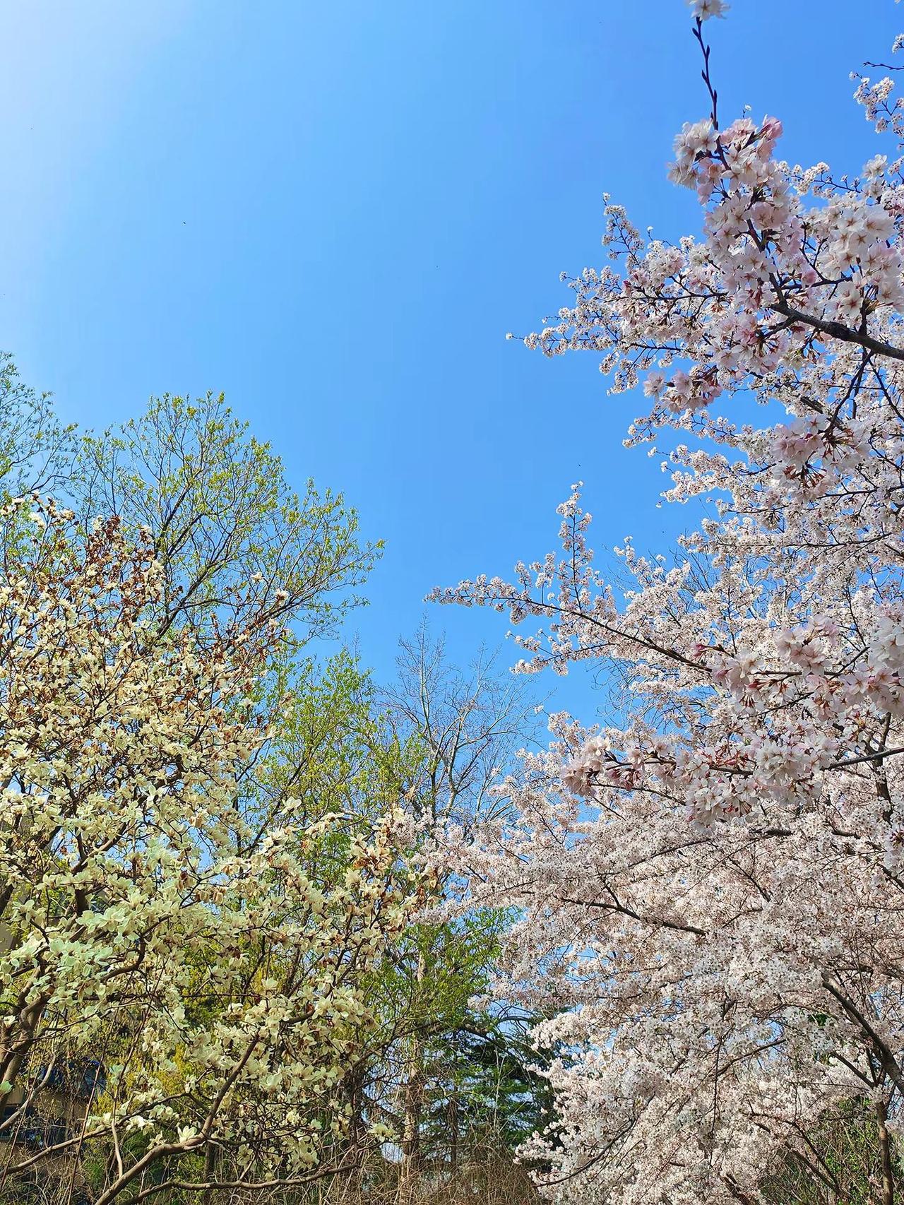 摄影记录大自然的美 我用摄影看世界 我的摄影日记 治愈系风景 爱拍照爱生活
