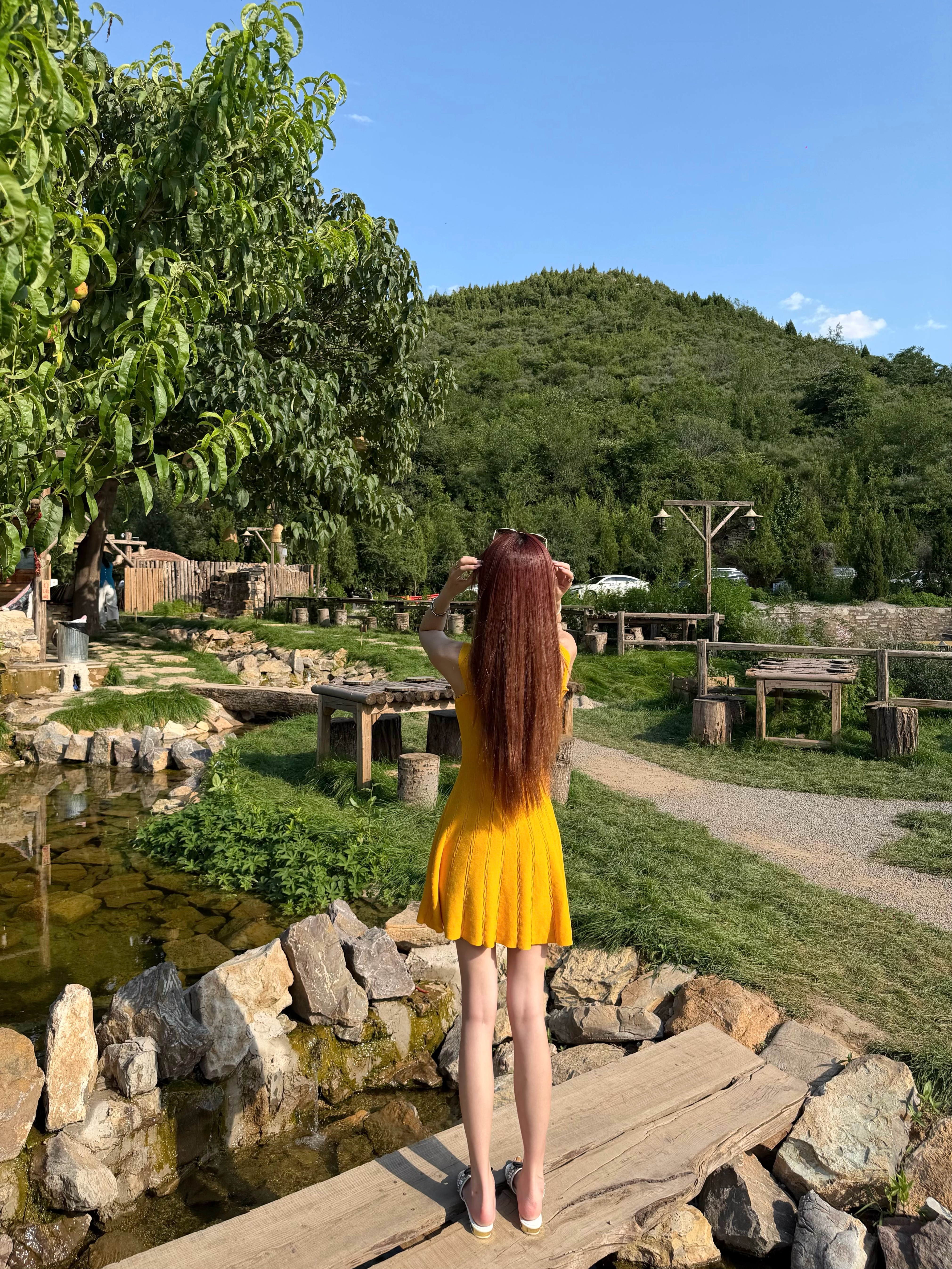 如果天气好的话☀️ 石家庄·森林厨房
