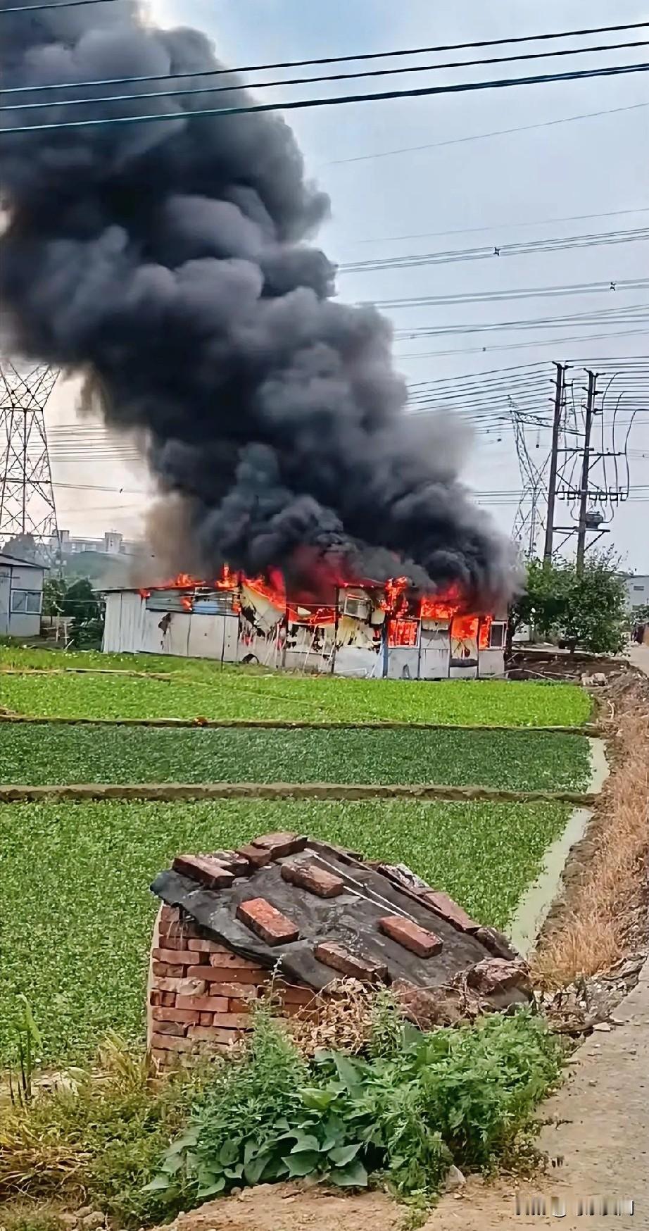 佛山市狮山镇大榄菜地农房起火。火灾猛如虎，起火不好扑，清远佬菜棚，十分钟烧完，救