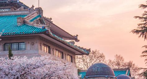 湖北7所顶尖高校梯队详解！王牌、位次、就业全说透，报志愿不踩坑
湖北考生注意了！