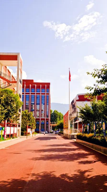 难怪都说浙江是教育最卷的省份之一！我儿子在杭州上一年级嘛，刚开学时，班主任通知8