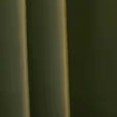 别跟命运较劲，它有它的安排。这不是宿命论的屈服，而是对更大秩序的尊重。我们当然要