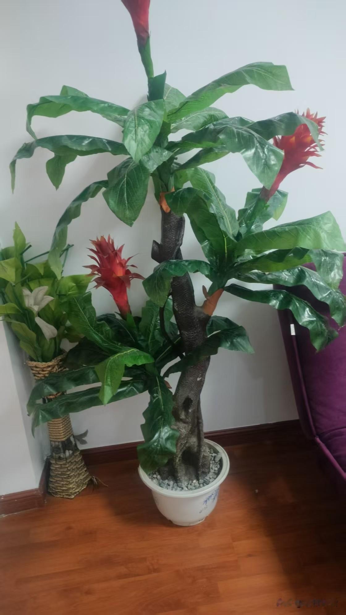 当妈久了，我发现有三条铁律，才是解开亲子矛盾，促进家庭和谐，以及妈妈们打开心窗、