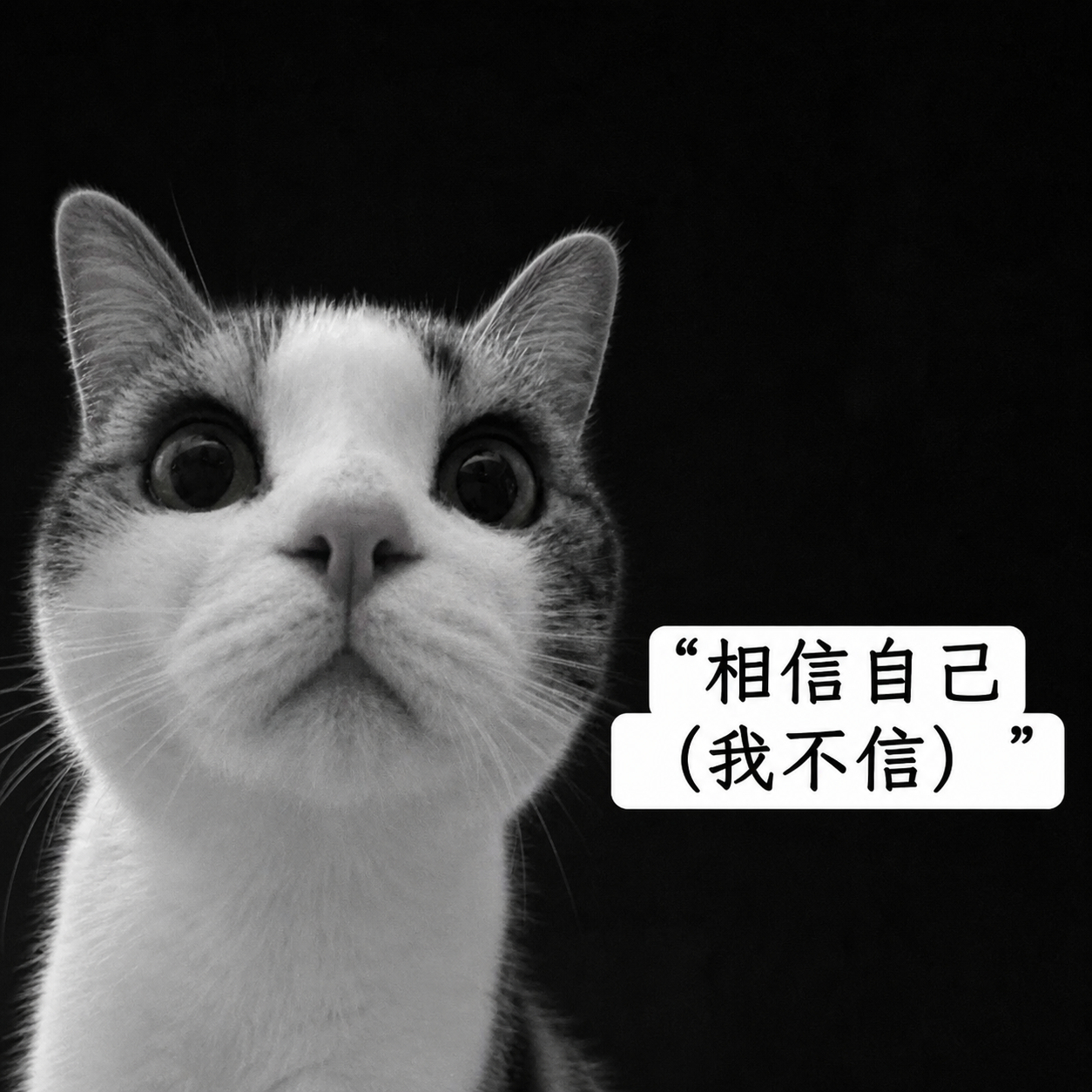 认识你自己memes ​​​