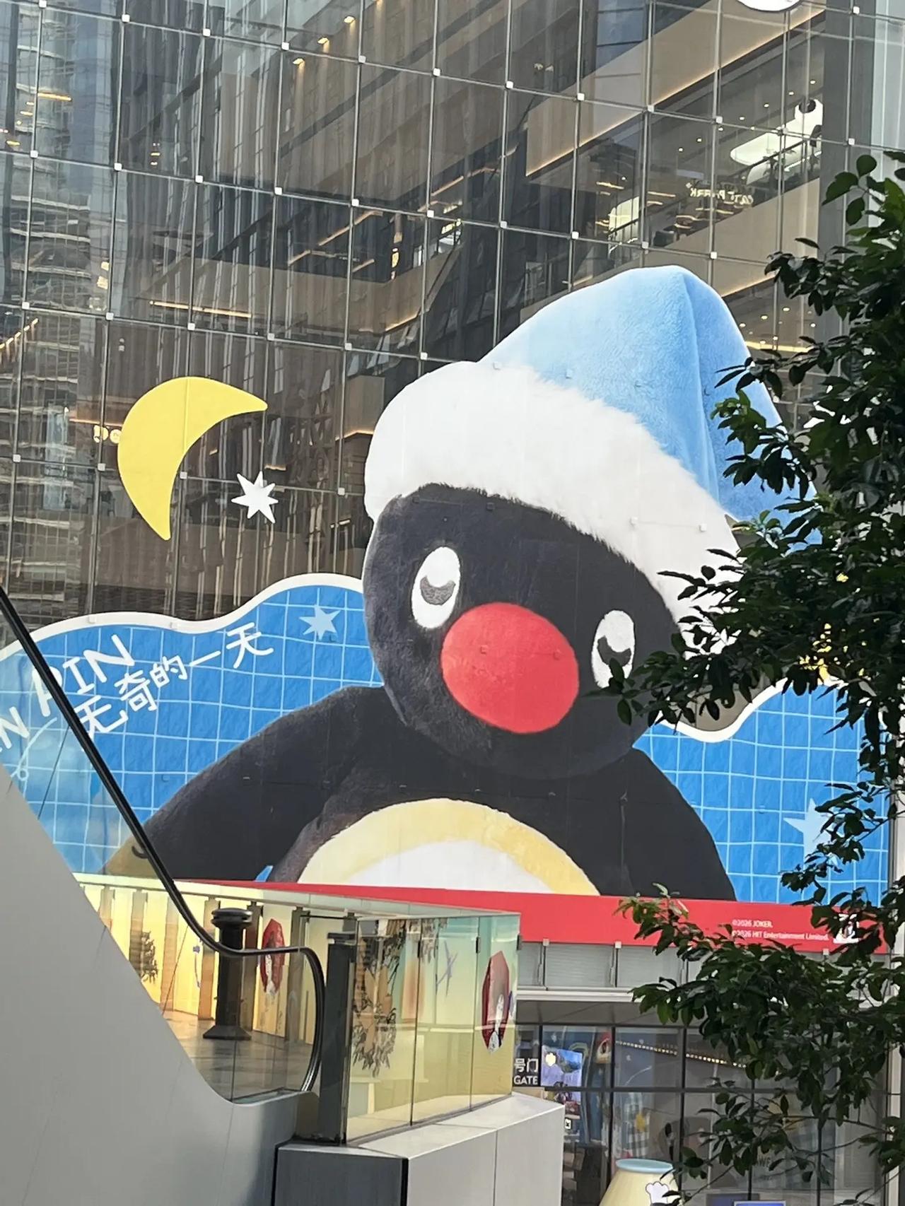 🐧马克图布是一只爱睡觉的企鹅吗？ 来逛罗湖万象食家被一只可爱的小企鹅萌到🐧它