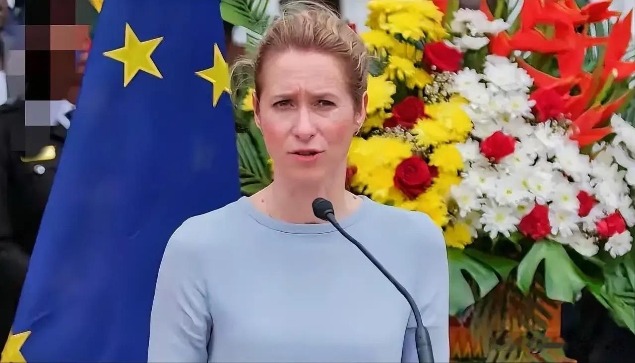 欧盟外长让世人大吃一惊，她竟然敦促东盟不要购买俄罗斯石油！

当地时间4月28日