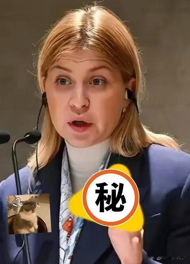 刚刚发生，
乌克兰大使突然宣布

11月7日乌克兰大使公开说他们还在和美国谈买战