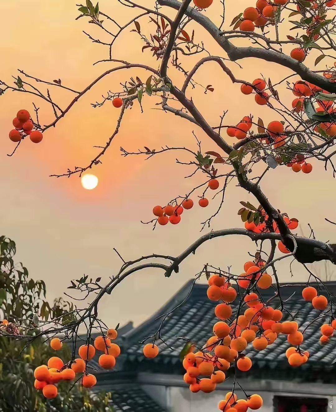 在社会生存不要只看人品，一定要先看人性，在利益面前人品可能会变，而善良的人性永远